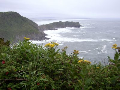 Chiloe coast, Chile