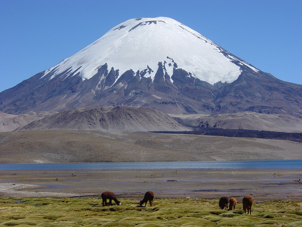 Self-Drive: Northern Highlights (Altiplano) ⋆ Sacred Earth Travel