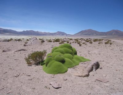 Atacama, Chile