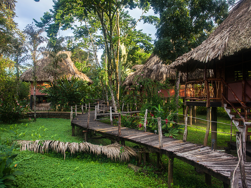 lodge grounds, Cotton Tree Lodge