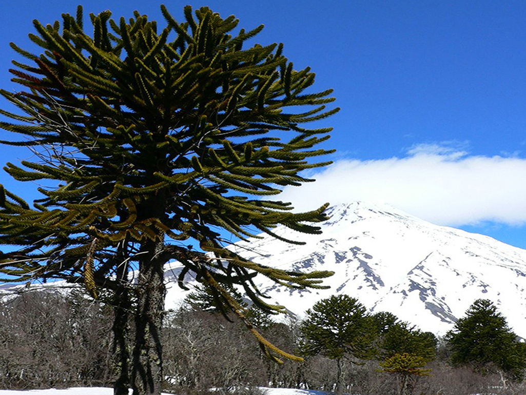 Lake District, Chile and Argentina