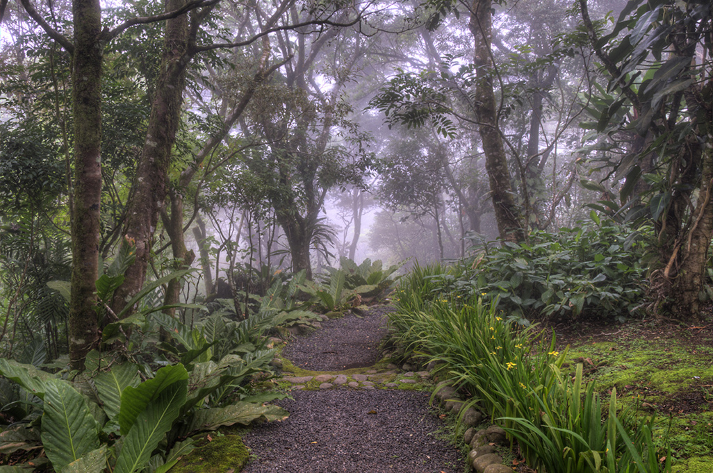 Monteverde Lodge Gardens