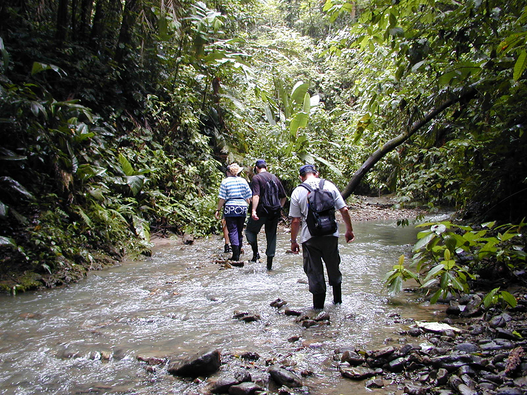 Selva Bananito Jungle Tour