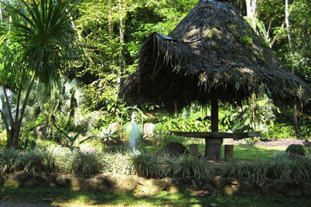 Selva Verde Lodge Gardens