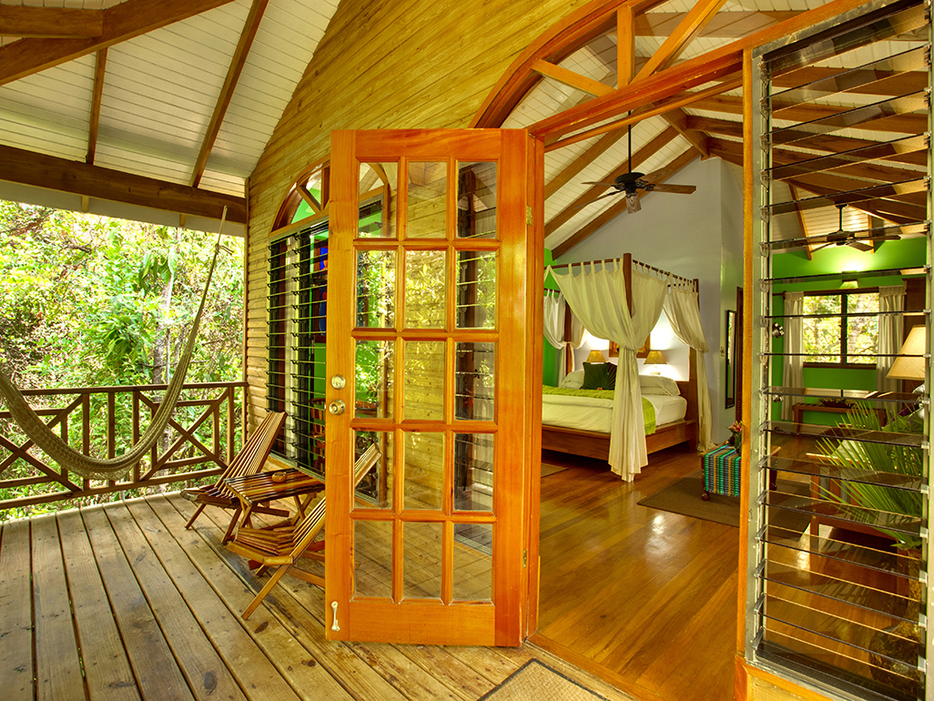 Hamanasi Tree-House