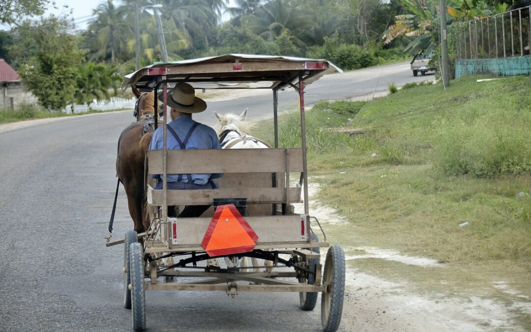 Mennonite Buggy, Belize