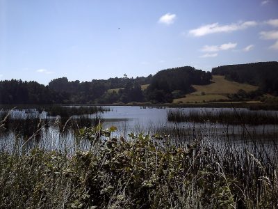 Budi Lake