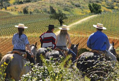 Horseback riding tour through the vineyards, Chile